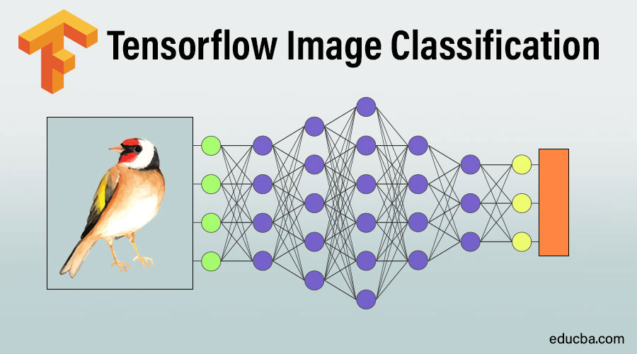 Image Classification Using Pre Trained Imagenet Models In Tensorflow