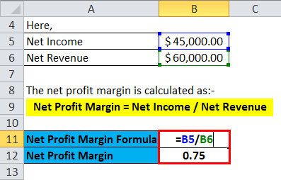 Calculation of net profit margin
