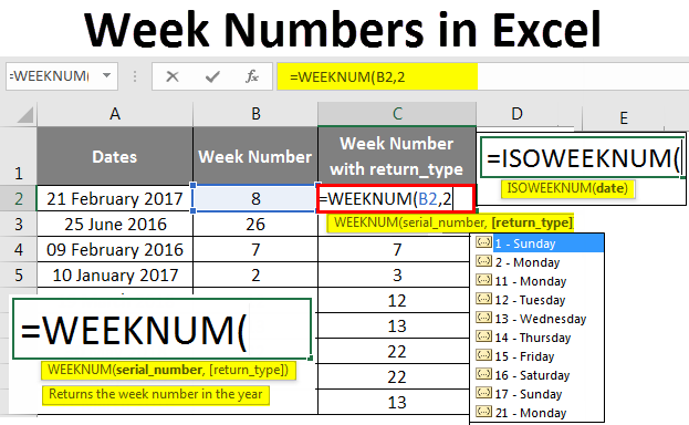 Week Numbers In Excel How To Use WEEKNUM Function In Excel 