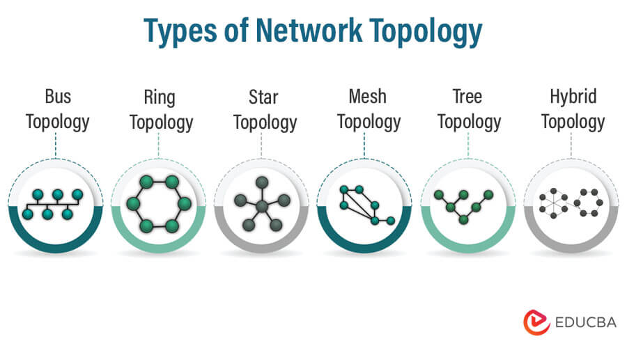 Types of Network Topology