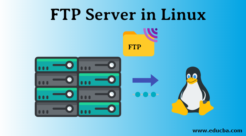 FTP Server In Linux Steps To Install And Configure The VSFTPD Server