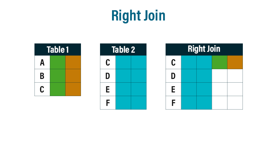 Right Join- Types of Joins in SQL