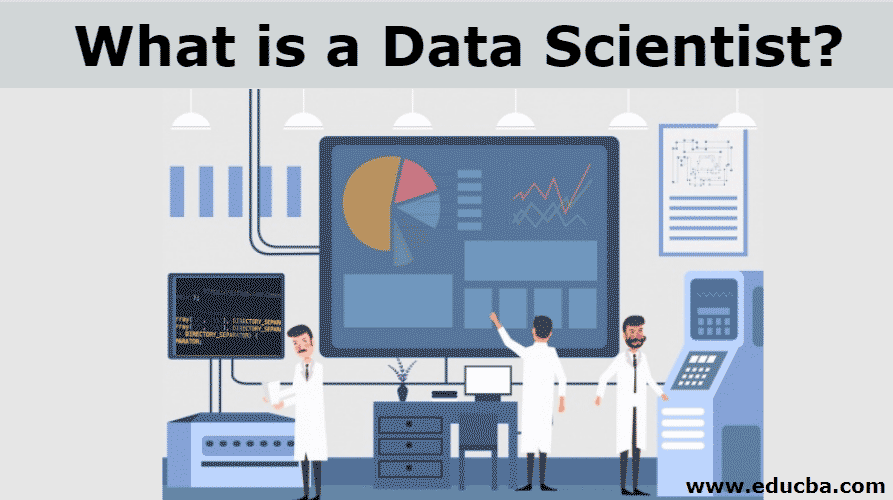 What is a Data Scientist? | Roles and Responsibilities of a Data Scientist