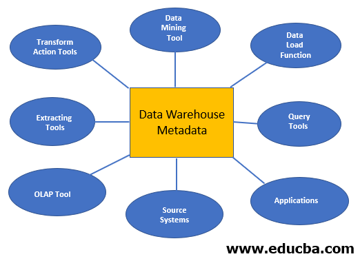 Roles of the Metadata