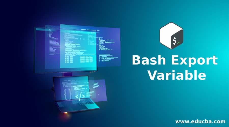 Bash Export Variable