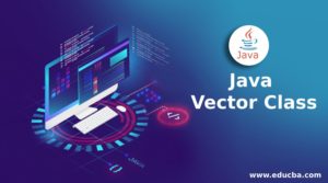 Java Vector Class | Java Vector Class with Constructors & Methods