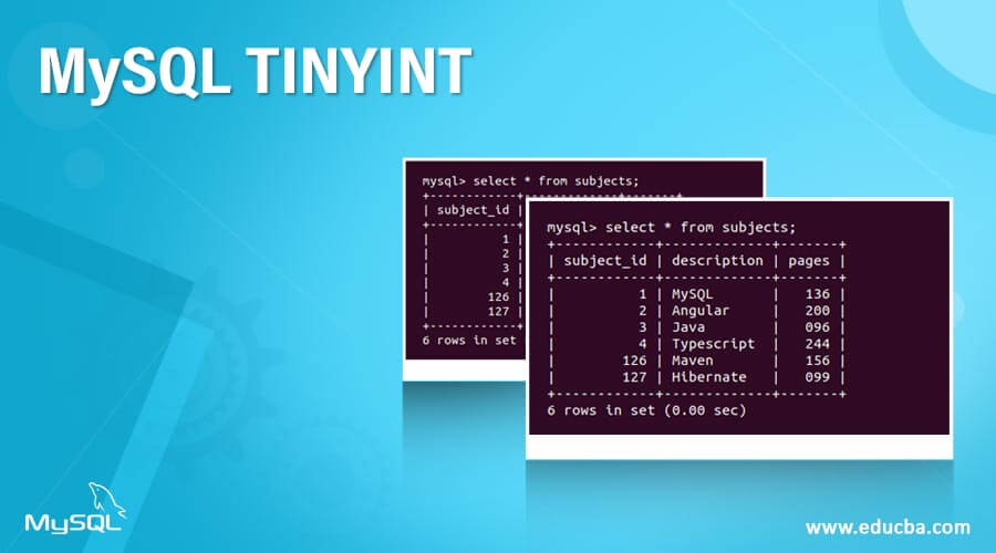 MySQL TINYINT 