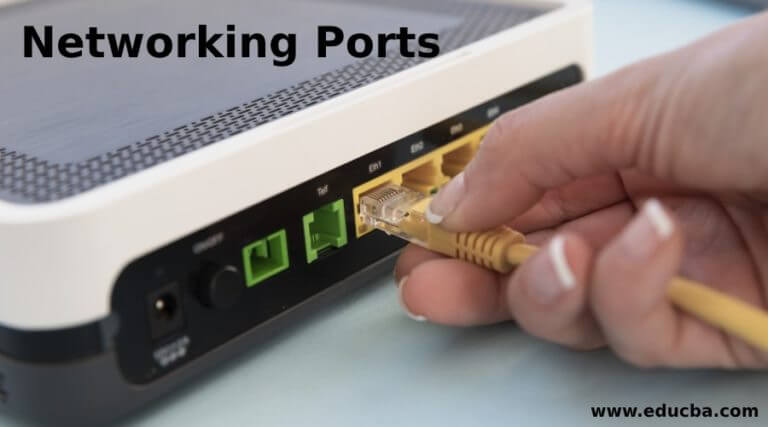 Networking Ports A Quick Glance Of 3 Different Networking Ports   Networking Ports 768x427 