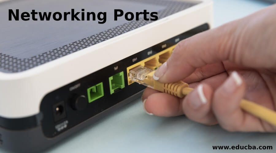 Networking Ports A Quick Glance Of 3 Different Networking Ports