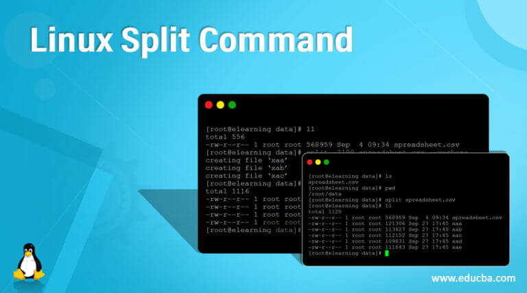 Bash Split Command Examples