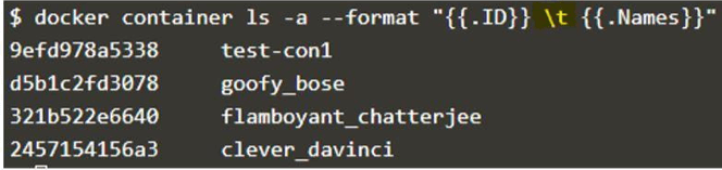 Docker List Containers 13