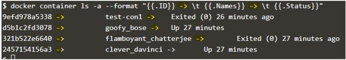 Docker List Containers 14