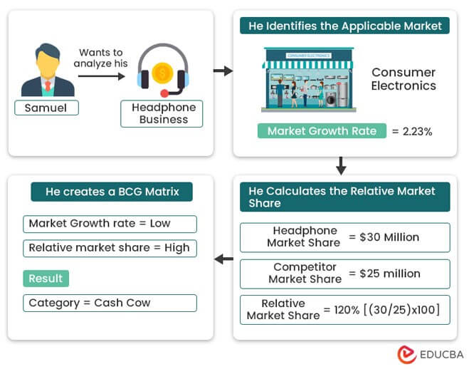 BCG Matrix Example