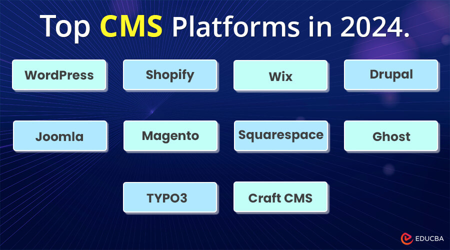 Best CMS 2024